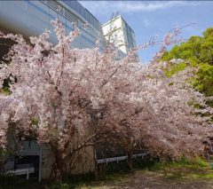 20260412_132602-1-1-1-1-1