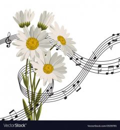 Daisies with music notes vector image on VectorStock